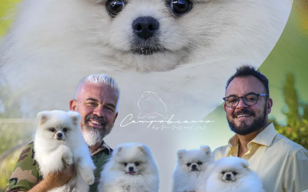 CAMPOBIANCO