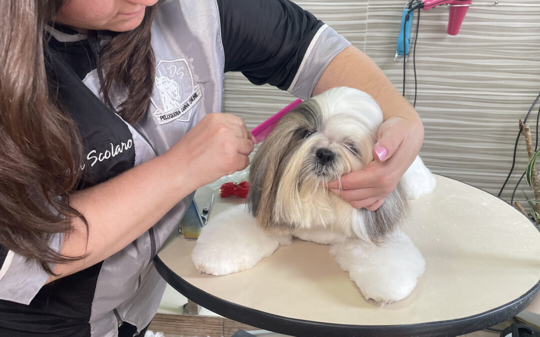 Pelo largo y las tendencias con los cortes adaptados