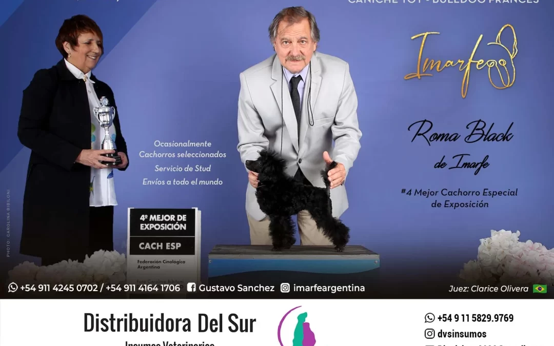 Imarfe