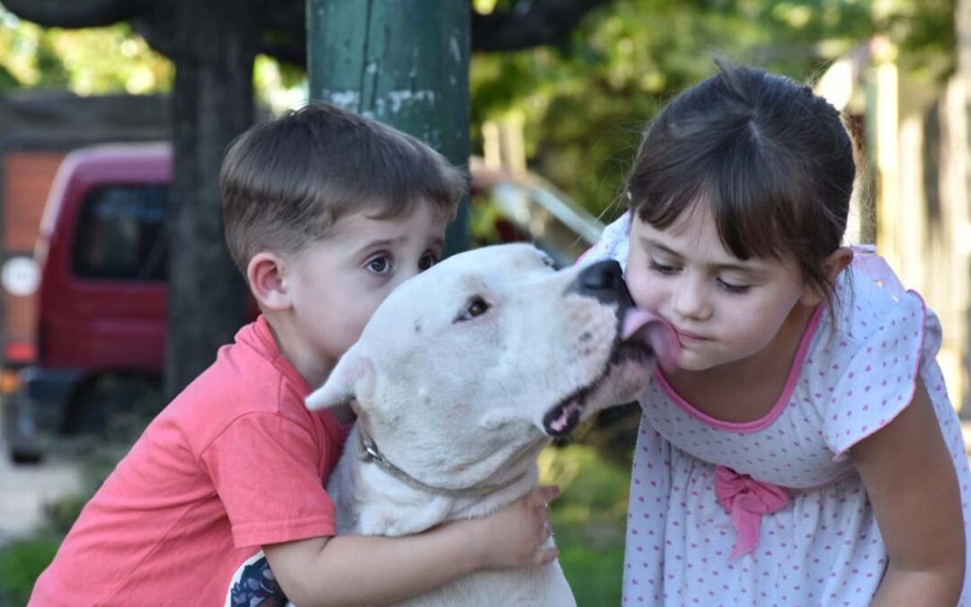 No dejen de poner un perro en la vida de un niño; pero háganlo bien