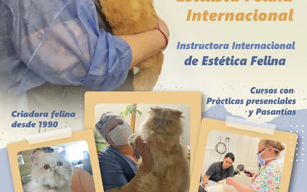CENTRO DE ESTÉTICA FELINA