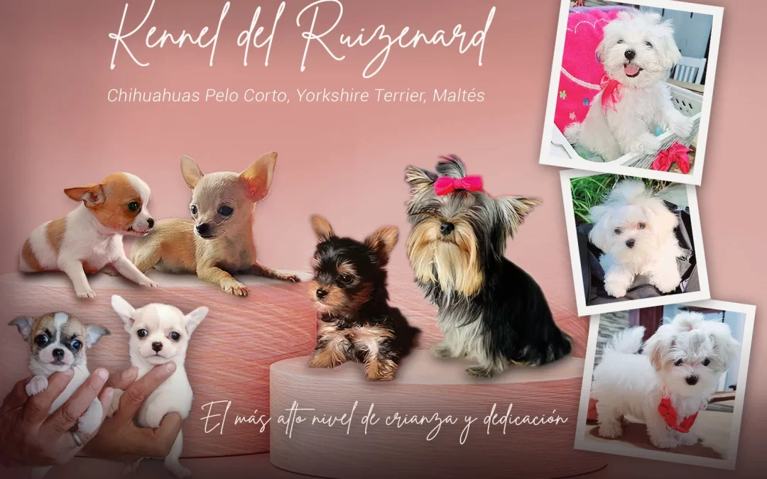 Kennel del Ruizenard