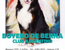 Boyero de Berna Club Argentino