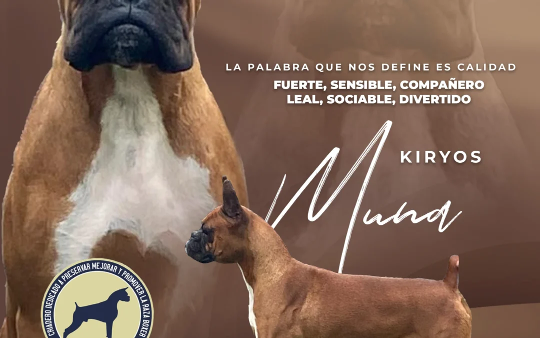 Kiryos Argentina