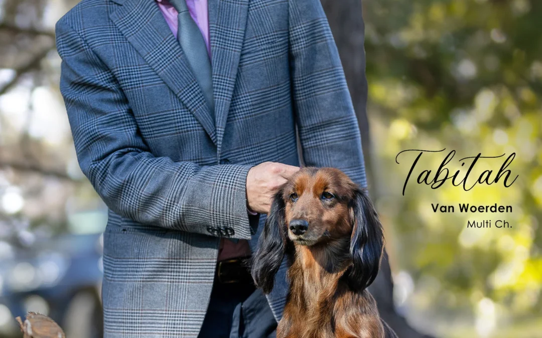 Van Woerden Kennel