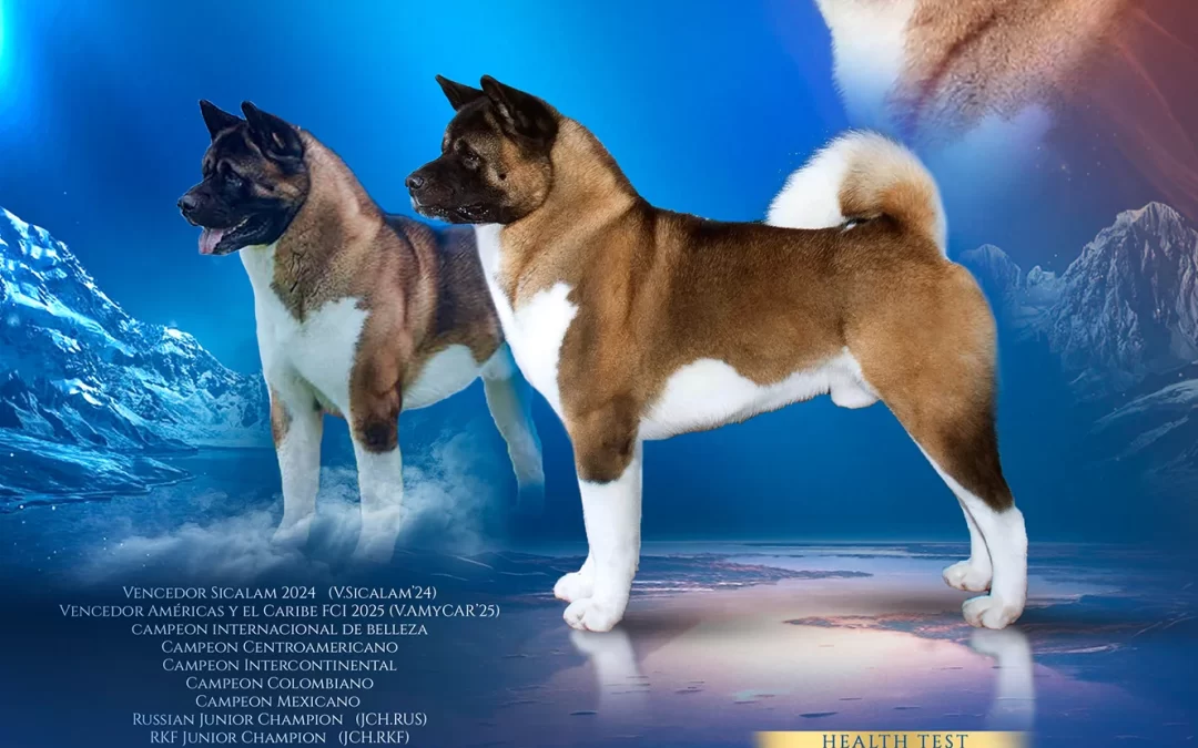Loitshajo Kennel